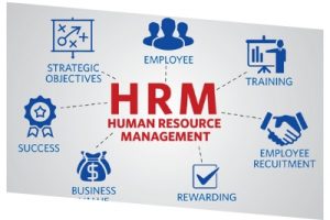 Human Resources Management Software